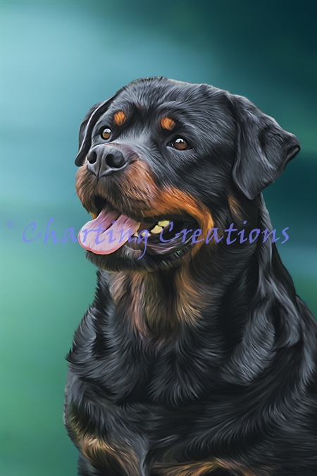 Rottweiler Portrait